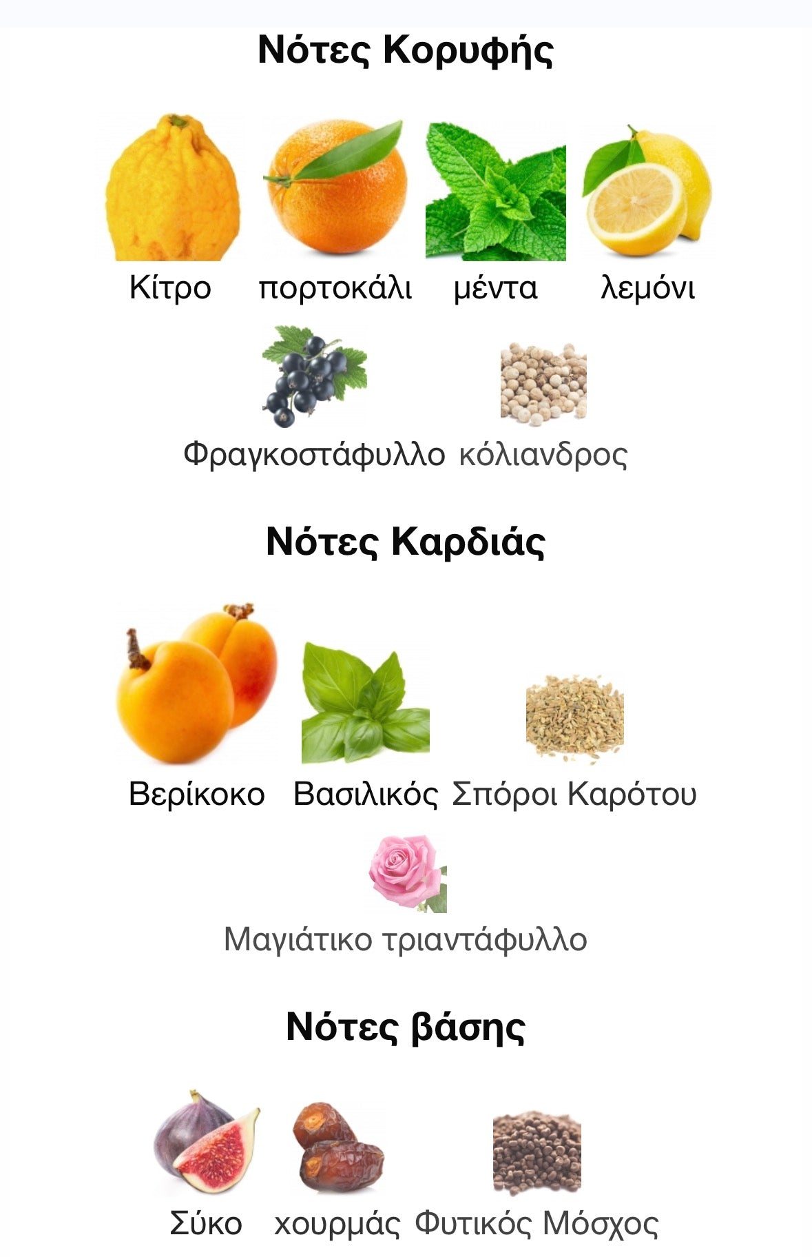 Louis Vuitton Pacific Chill