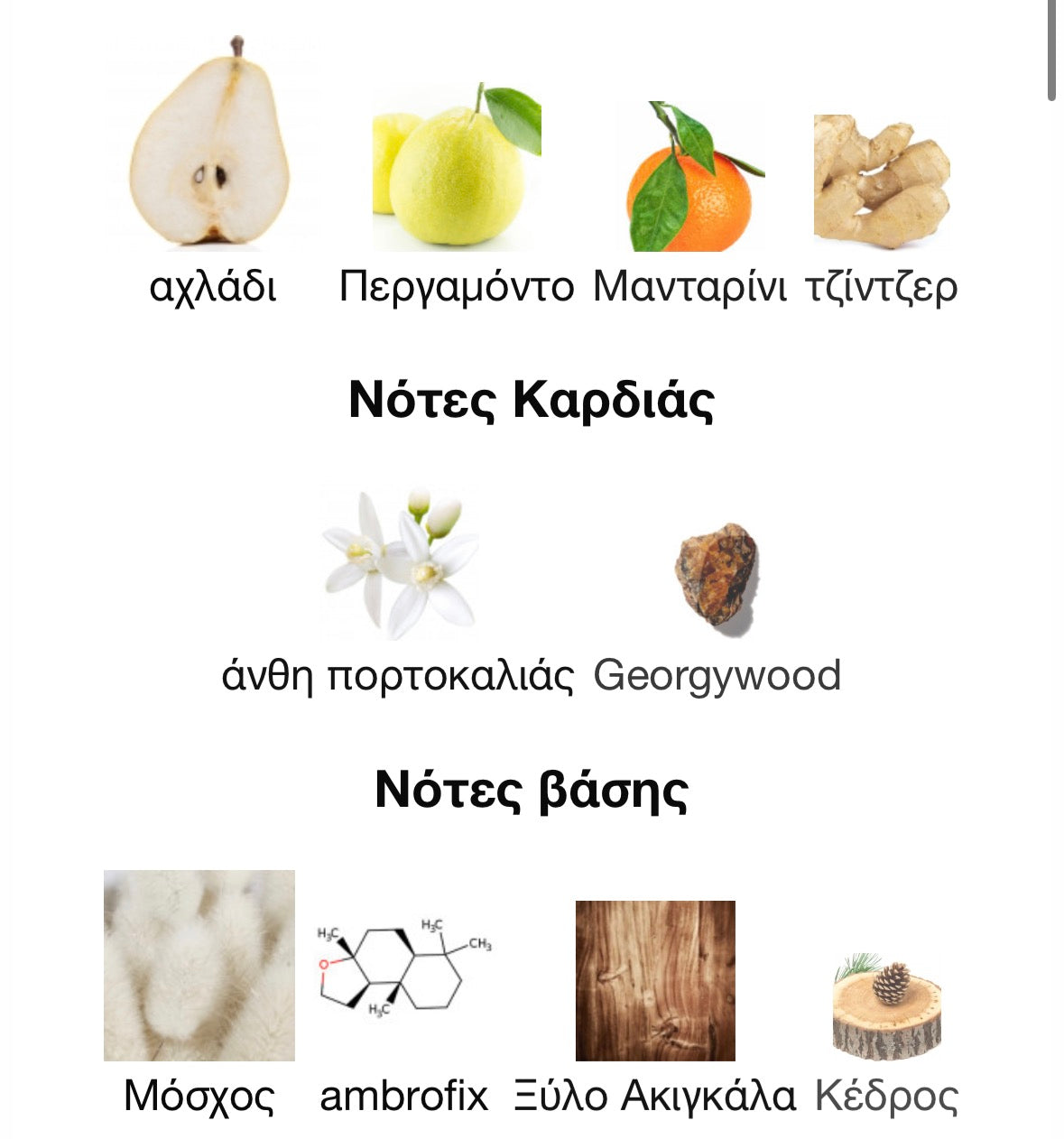 Ex Nihilo Blue Talisman