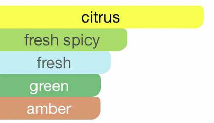 Louis Vuitton Imagination