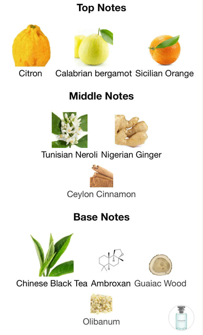 Louis Vuitton Imagination